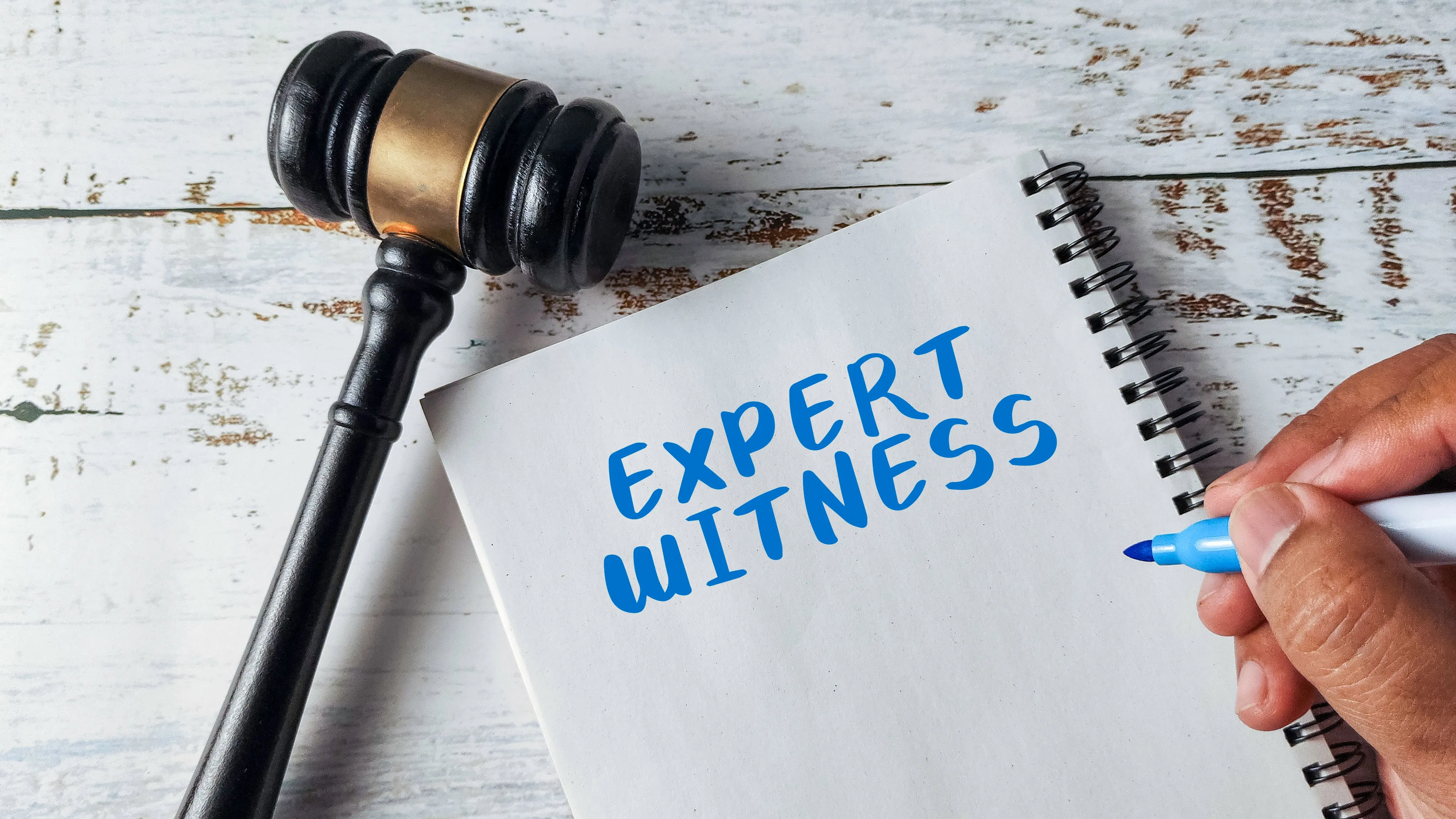 Expert witness legal case
